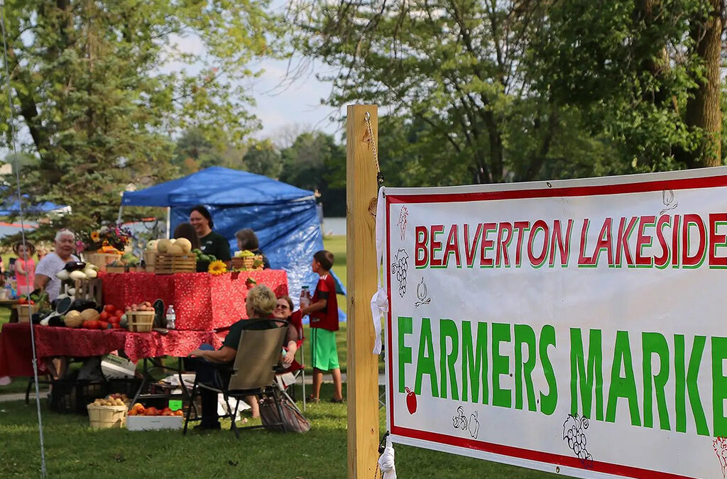 Farmers Market | Autumn 2022